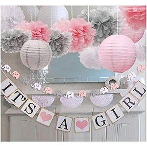 Baby Girl Baby Shower Decorations, It is a Girl Banners and Paper Lantern